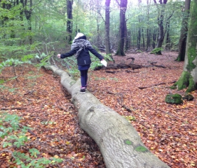 Herfst, herfst wat heb je te koop…